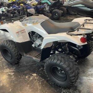 Acheter 2024 Yamaha Grizzly 90 – Quad junior 90cc fiable