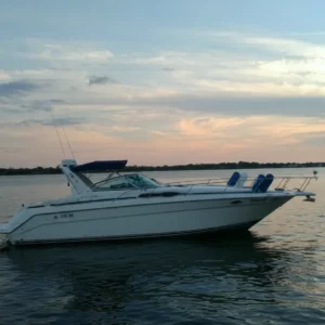 1990 Sea Ray 350 Sundancer à Vendre – Yacht Eau Douce 680 CV